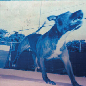 STILL BLANK SELF-TITLED DEBUT ALBUM